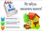 налоги