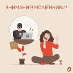 Осторожно мошейники!