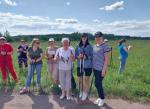 скандинавская ходьба