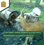 охота
